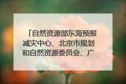 自然资源部东海预报减灾中心、北京市规划和自然资源委员会、广东省林业系统等正在招聘｜招聘信息