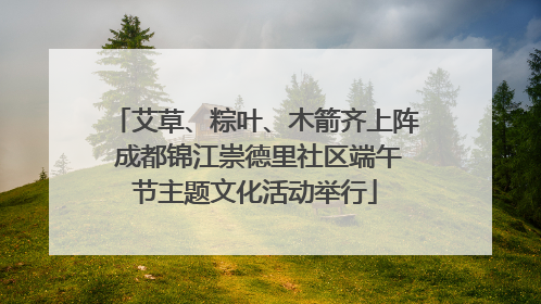 艾草、粽叶、木箭齐上阵 成都锦江崇德里社区端午节主题文化活动举行