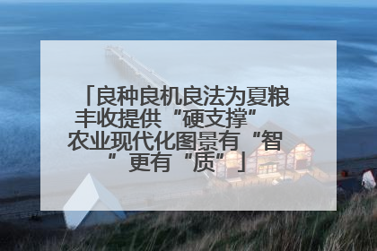 良种良机良法为夏粮丰收提供“硬支撑” 农业现代化图景有“智”更有“质”