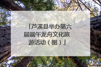 芦溪县举办第六届端午龙舟文化旅游活动（图）