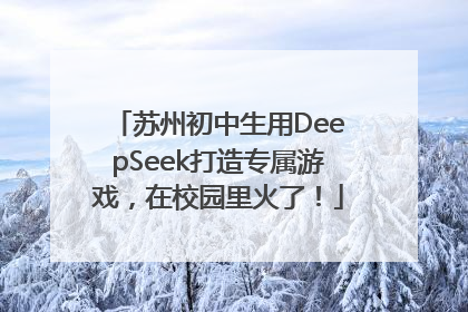 苏州初中生用DeepSeek打造专属游戏，在校园里火了！