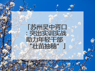 苏州吴中胥口：突出实训实战 助力年轻干部“壮苗抽穗”