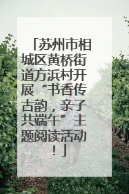苏州市相城区黄桥街道方浜村开展“书香传古韵,亲子共端午”主题阅读活动!