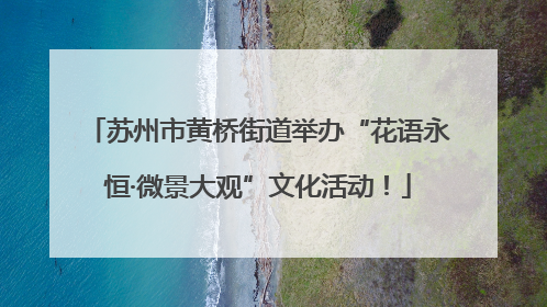 苏州市黄桥街道举办“花语永恒·微景大观”文化活动！