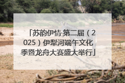 苏韵伊情·第二届（2025）伊犁河端午文化季暨龙舟大赛盛大举行