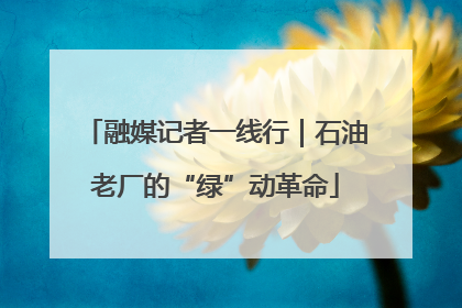 融媒记者一线行｜石油老厂的“绿”动革命