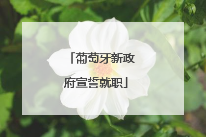 葡萄牙新政府宣誓就职