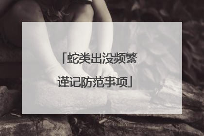 蛇类出没频繁 谨记防范事项