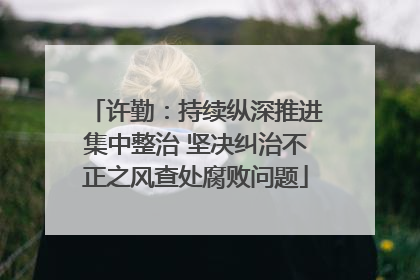 许勤：持续纵深推进集中整治 坚决纠治不正之风查处腐败问题