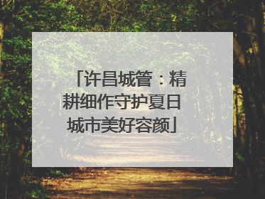 许昌城管：精耕细作守护夏日城市美好容颜
