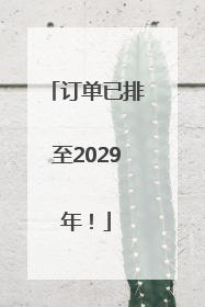 订单已排至2029年！