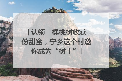 认领一棵桃树收获一份甜蜜，宁乡这个村邀你成为“树主”