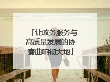 让政务服务与高质量发展的协奏曲响彻大地
