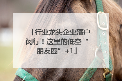 行业龙头企业落户闵行！这里的低空“朋友圈”+1