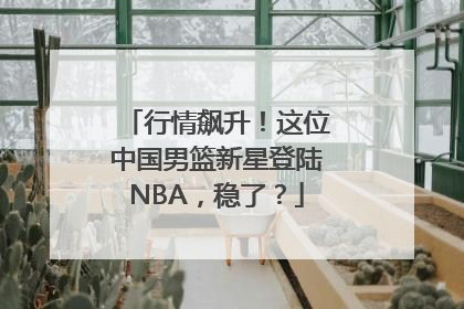 行情飙升！这位中国男篮新星登陆NBA，稳了？