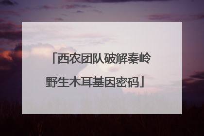 西农团队破解秦岭野生木耳基因密码