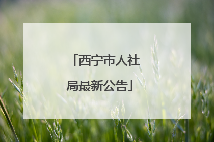 西宁市人社局最新公告