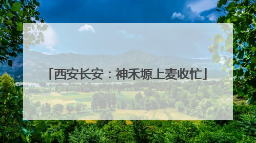 西安长安：神禾塬上麦收忙