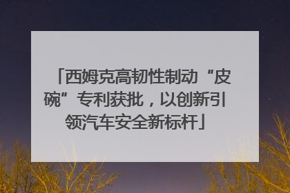 西姆克高韧性制动“皮碗”专利获批，以创新引领汽车安全新标杆