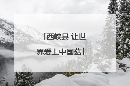 西峡县 让世界爱上中国菇