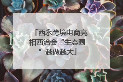 西永跨境电商亮相西洽会“生态圈”越做越大