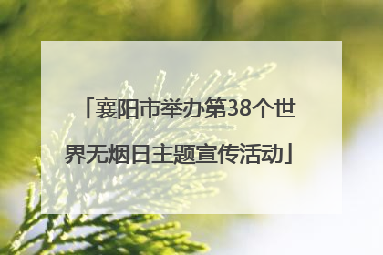 襄阳市举办第38个世界无烟日主题宣传活动
