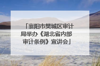 襄阳市樊城区审计局举办《湖北省内部审计条例》宣讲会