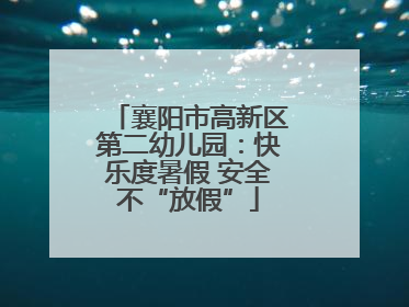 襄阳市高新区第二幼儿园：快乐度暑假 安全不“放假”