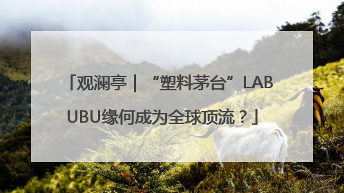 观澜亭｜“塑料茅台”LABUBU缘何成为全球顶流？