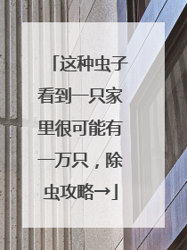 这种虫子看到一只家里很可能有一万只，除虫攻略→