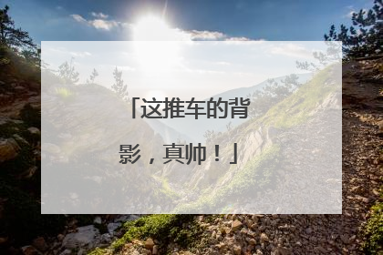 这推车的背影，真帅！