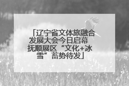 辽宁省文体旅融合发展大会今日启幕 抚顺展区“文化+冰雪”蓄势待发