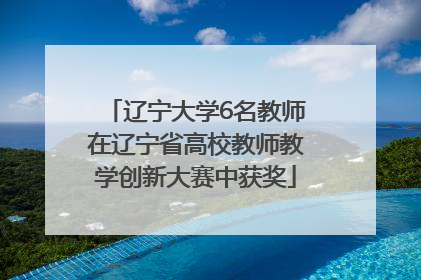 辽宁大学6名教师在辽宁省高校教师教学创新大赛中获奖