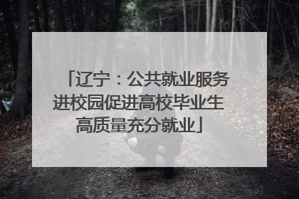 辽宁：公共就业服务进校园促进高校毕业生高质量充分就业