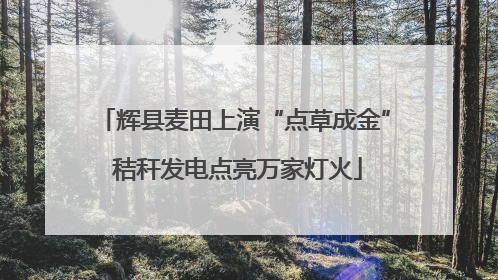 辉县麦田上演“点草成金” 秸秆发电点亮万家灯火