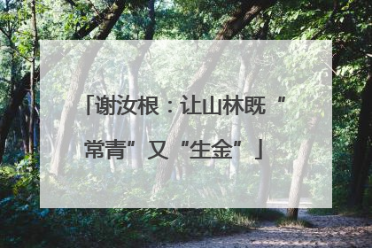 谢汝根：让山林既“常青”又“生金”