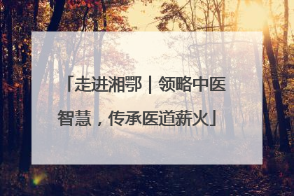 走进湘鄂｜领略中医智慧，传承医道薪火
