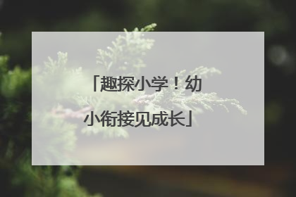 趣探小学！幼小衔接见成长