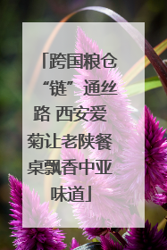 跨国粮仓“链”通丝路 西安爱菊让老陕餐桌飘香中亚味道