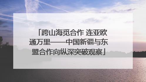 跨山海觅合作 连亚欧通万里——中国新疆与东盟合作向纵深突破观察