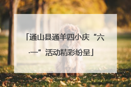 通山县通羊四小庆“六·一”活动精彩纷呈