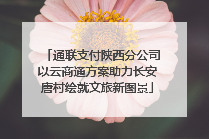通联支付陕西分公司以云商通方案助力长安唐村绘就文旅新图景