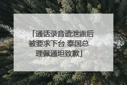 通话录音遭泄露后被要求下台 泰国总理佩通坦致歉