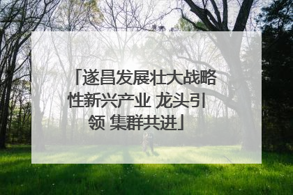 遂昌发展壮大战略性新兴产业 龙头引领 集群共进