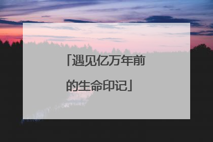 遇见亿万年前的生命印记