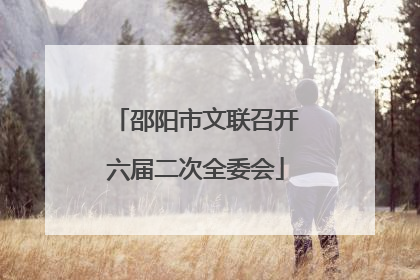 邵阳市文联召开六届二次全委会