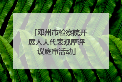 邓州市检察院开展人大代表观摩评议庭审活动