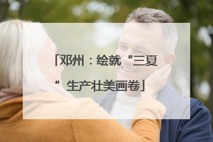 邓州：绘就“三夏”生产壮美画卷