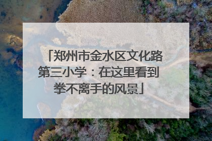 郑州市金水区文化路第三小学：在这里看到拳不离手的风景