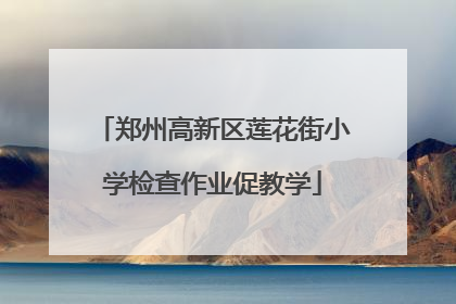 郑州高新区莲花街小学检查作业促教学